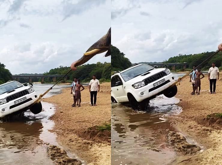 elephant rescuing fortuner