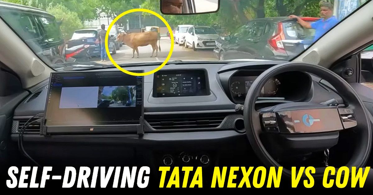 self-driving tata nexon vs cow indian roads featured self-driving tata nexon vs cow indian roads featured