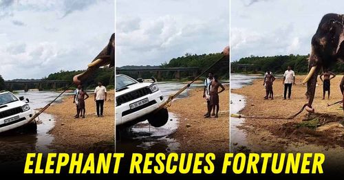 ekephant rescues toyota fortuner stuck in river featured ekephant rescues toyota fortuner stuck in river featured