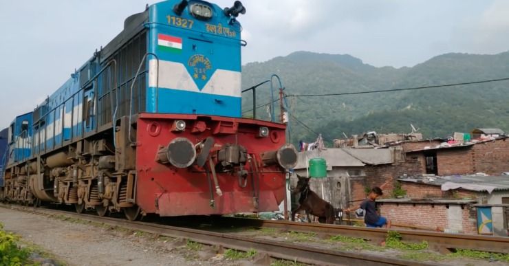 donkey saved by loco pilot