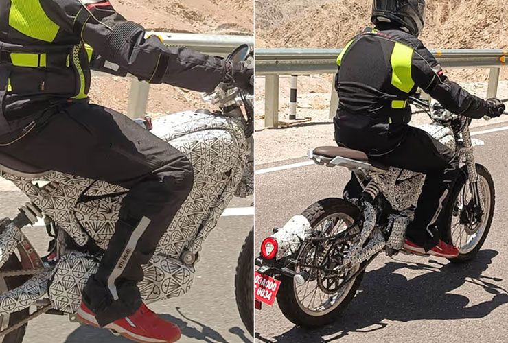 flying flea spotted on test in ladakh