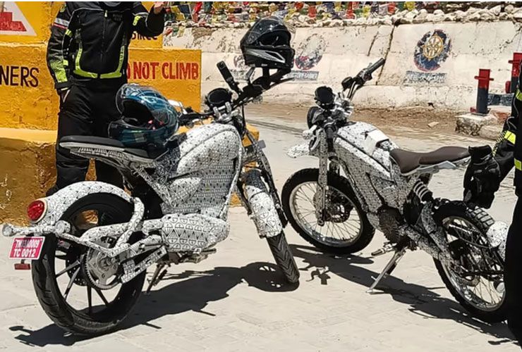 flying flea spotted on test in ladakh
