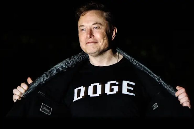 elon musk doge