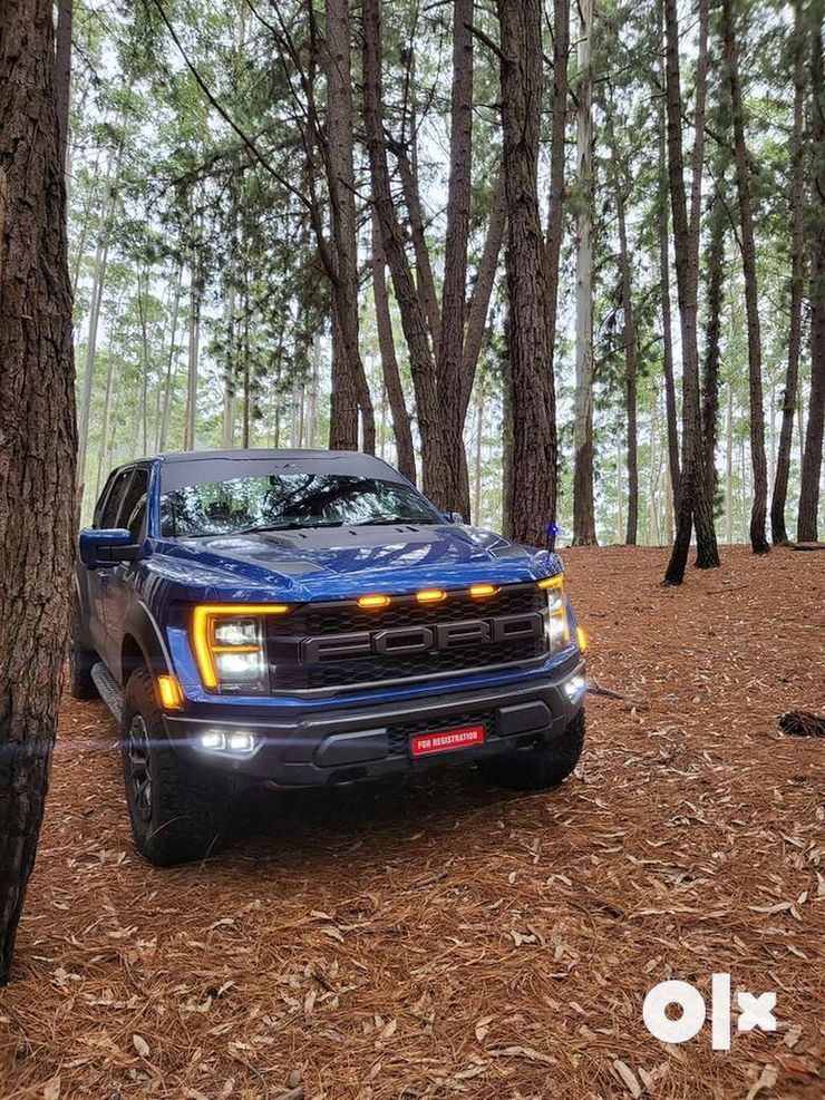 ford-f-150-raptor-used-1.jpg
