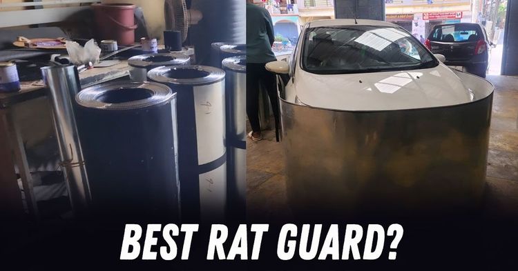 best rat guard best rat guard