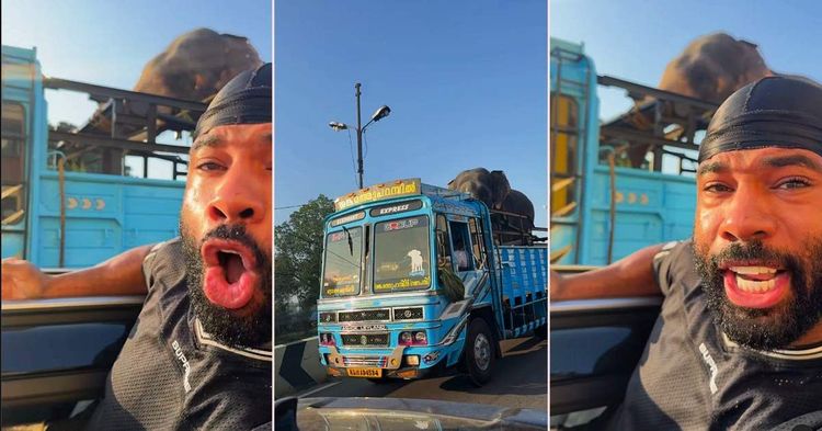 foreigner shocked after seeing elephant in a truck in india foreigner shocked after seeing elephant in a truck in india
