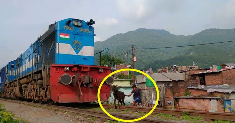 man saves donkey oncoming train india featured man saves donkey oncoming train india featured