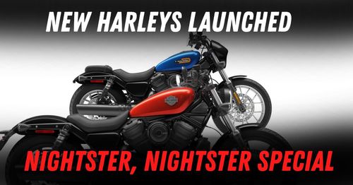 Harley davidson nightster special and nightster Harley davidson nightster special and nightster