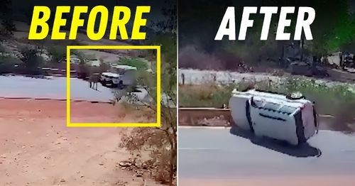 mahindra scorpio flips due to cow crossing road featured mahindra scorpio flips due to cow crossing road featured