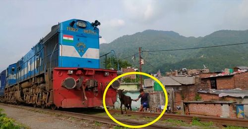 man saves donkey oncoming train india featured man saves donkey oncoming train india featured