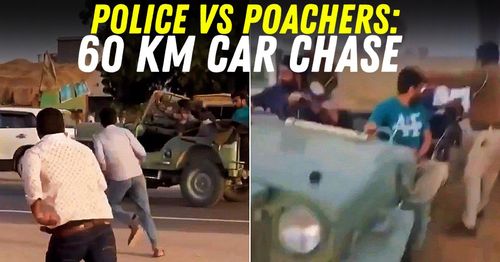 police vs poachers 60 km car chase rajasthan featured police vs poachers 60 km car chase rajasthan featured
