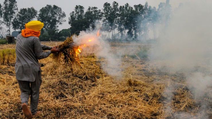 stubble burning punjab india