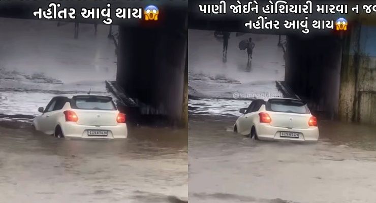 swift floats on waterlogged under bridge