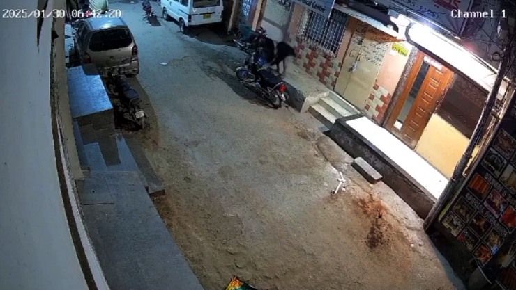 thieves try to steal bike