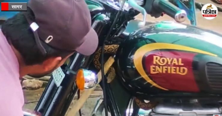 viper-snake-fuel-tank-bullet